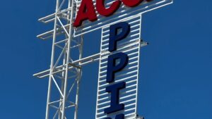 WhatsApp Image 2025-12-20 at 15.56.13 1